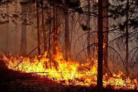 новость.